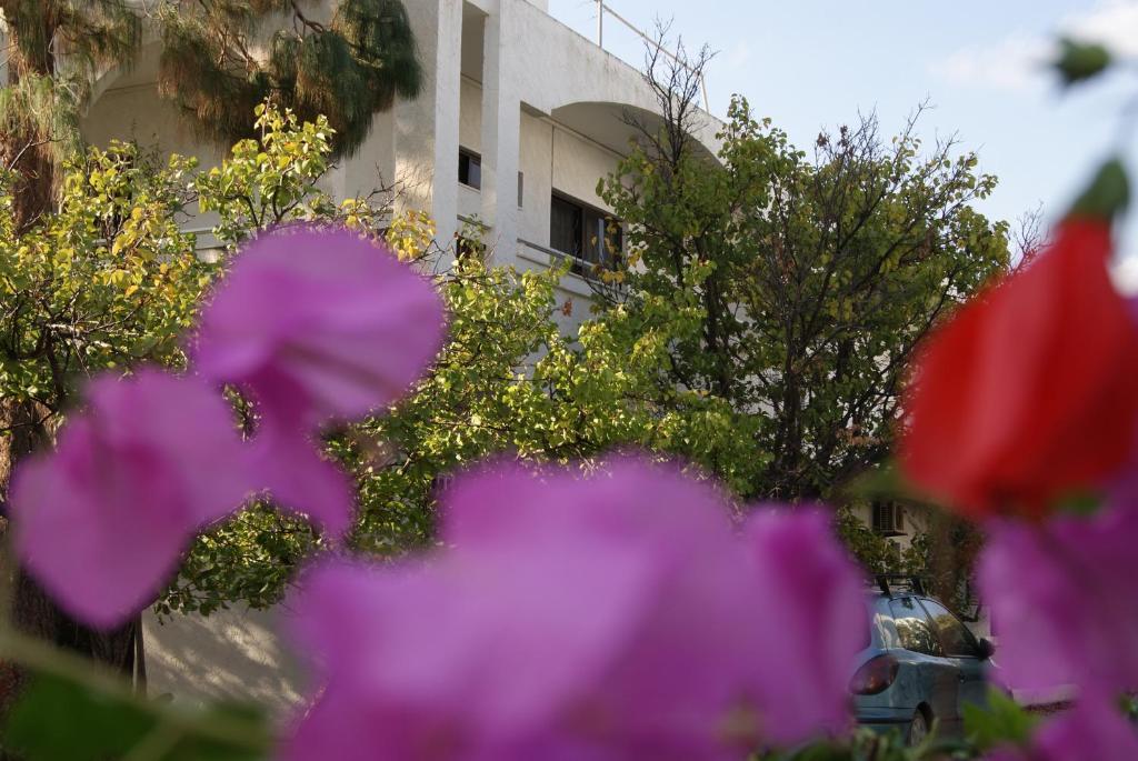 Thalassa Studios Faliraki Exterior foto